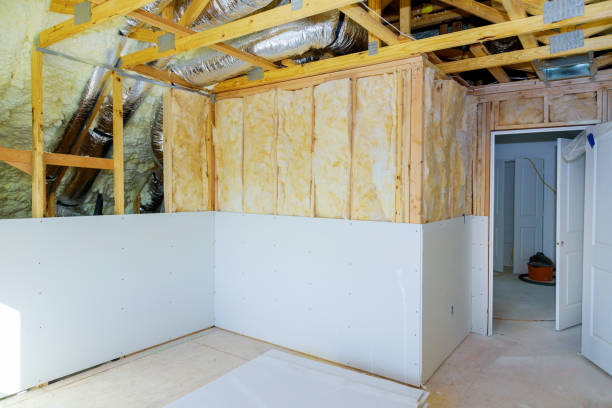 Best DIY Insulation Kits and Guidance in Pecatonica, IL