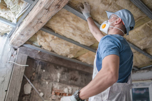 Best Cellulose Insulation in Pecatonica, IL